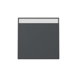 Gira Wippe 329928 BSF Sys.55 anthr