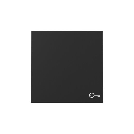 Gira Wippe 3287005 Symb.Tür Sys.55 sw m