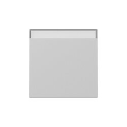 Gira Wippe 3299015 BSF Sys.55 gr m