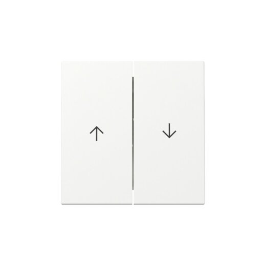 Gira Wippe 329427 2f Pfeil Sys.55 rws m