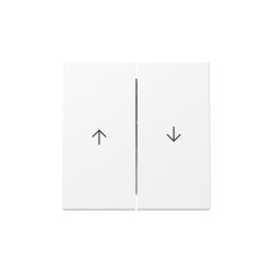 Gira Wippe 329427 2f Pfeil Sys.55 rws m