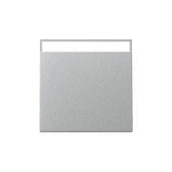 Gira Wippe 329926 BSF Sys.55 F Alu