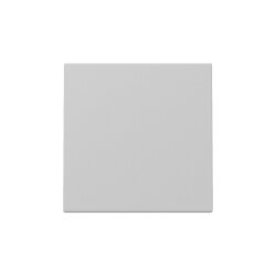 Gira Wippe 3296015 Sys.55 gr m