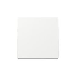 Gira Wippe 329603 Sys.55 rws