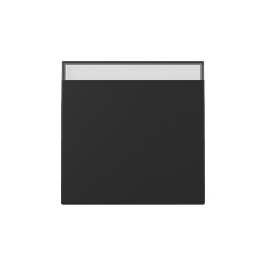 Gira Wippe 3299005 BSF Sys.55 sw m