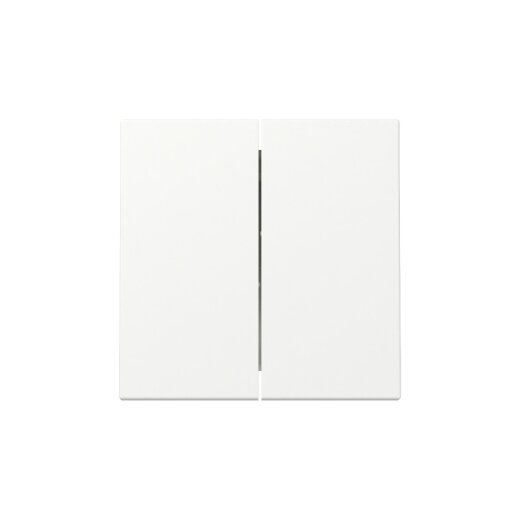 Gira Wippe 329527 2f Sys.55 rws m