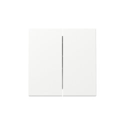 Gira Wippe 329527 2f Sys.55 rws m