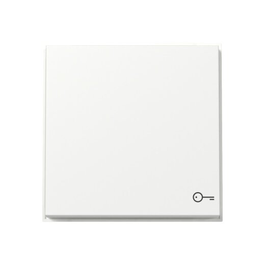 Gira Wippe 328766 Symb.Tür TX44 WG UP rws