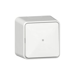 Gira Wipptaster 315613 Wechsler Kontrollf.+BSS AP rws