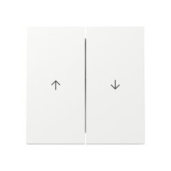 Gira Wippe 329470 2f Pfeil FL RW