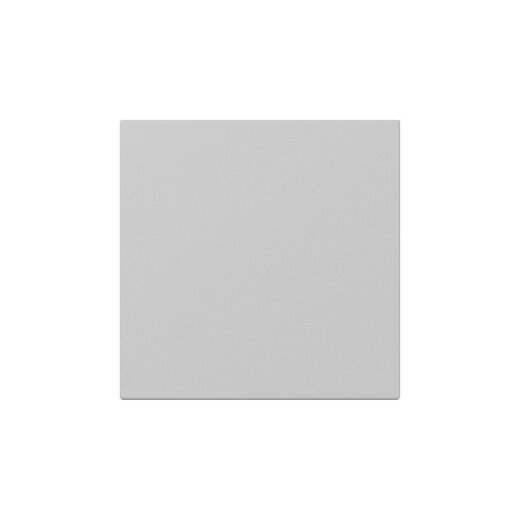 Gira Wippe 3496015 gerade Sys.55 gr m