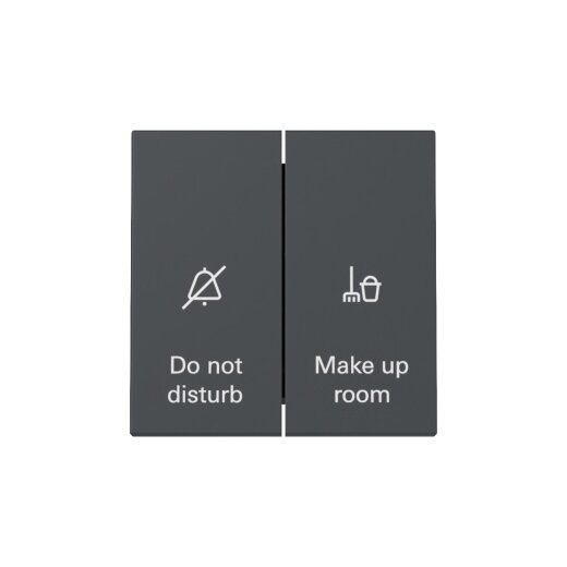 Gira Wippschalter 310428 Anzeige Hotelzimmer Sys.55 anthr