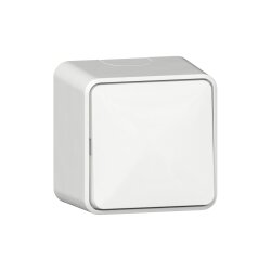 Gira Wippschalter 310613 AusWe AP rws