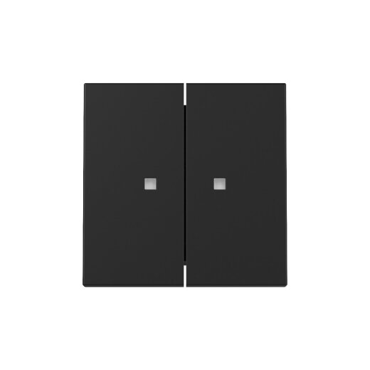 Gira Wippe 3631005 2f Kontrollf.Sys.55 sw m