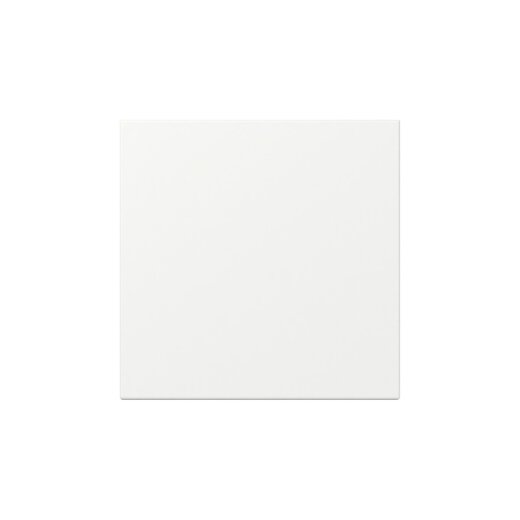 Gira Wippe 349627 gerade Sys.55 rws m