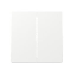 Gira Wippe 329570 2f FL RW