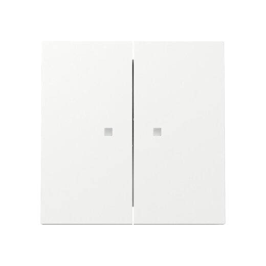 Gira Wippe 363170 2f KF FL RW