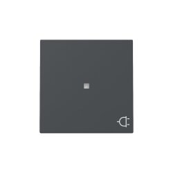 Gira Wippe Kontrollf.+Symb.Steckd.Sys.55 anthr