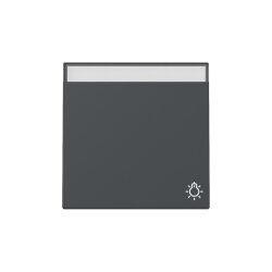 Gira Wippe 367328 Symb.Klingel+BSF Sys.55 anthr