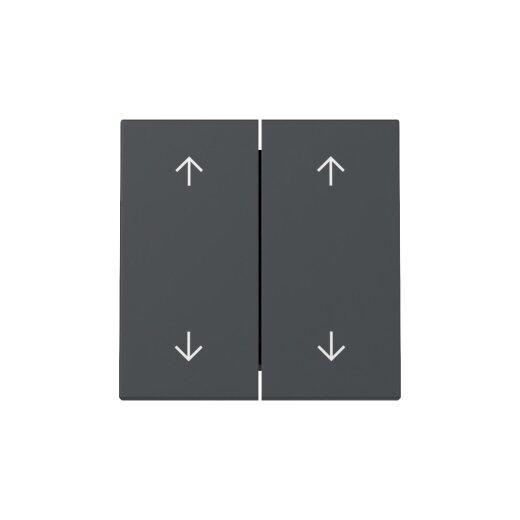 Gira Wippe 329728 2f Pfeile Sys.55 anthr