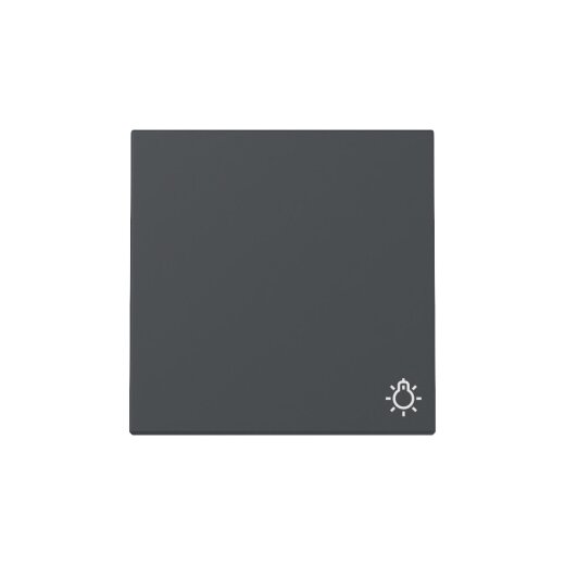 Gira Wippe 328528 Symb.Licht Sys.55 anthr