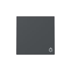 Gira Wippe 328528 Symb.Licht Sys.55 anthr