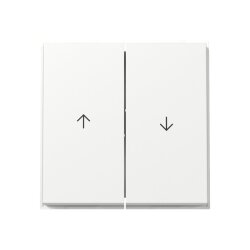 Gira Wippe 329466 2f Pfeil TX44 WG UP rws