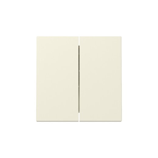 Gira Wippe 329501 2f Sys.55 cws