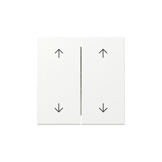 Gira Wippe 329727 2f Pfeile Sys.55 rws m