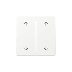 Gira Wippe 329727 2f Pfeile Sys.55 rws m