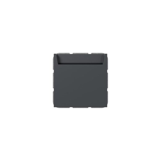 Gira Hotel Card Wechsler 314028 bel.BSF Sys.55 anthr