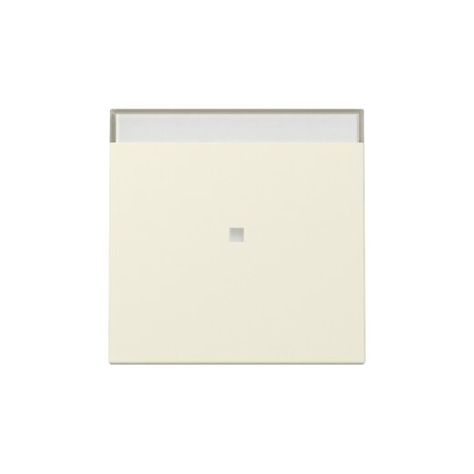 Gira Wippe 367001 Kontrollf.+BSF Sys.55 cws