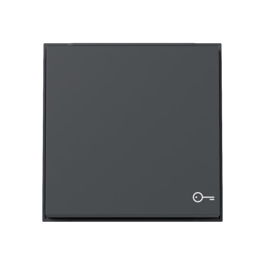 Gira Wippe 328767 Symb.Tür TX44 WG UP anthr