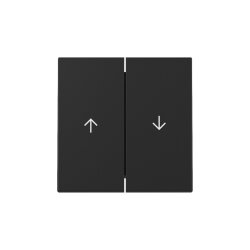 Gira Wippe 3294005 2f Pfeil Sys.55 sw m