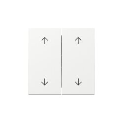 Gira Wippe 329703 2f Pfeile Sys.55 rws