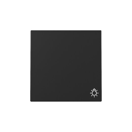 Gira Wippe 3285005 Symb.Licht Sys.55 sw m