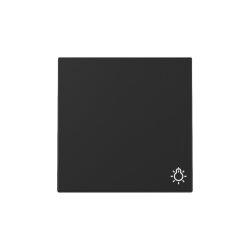 Gira Wippe 3285005 Symb.Licht Sys.55 sw m