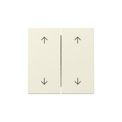 Gira Wippe 329701 2f Pfeile Sys.55