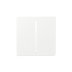 Gira Wippe 349527 2f gerade Sys.55 rws m