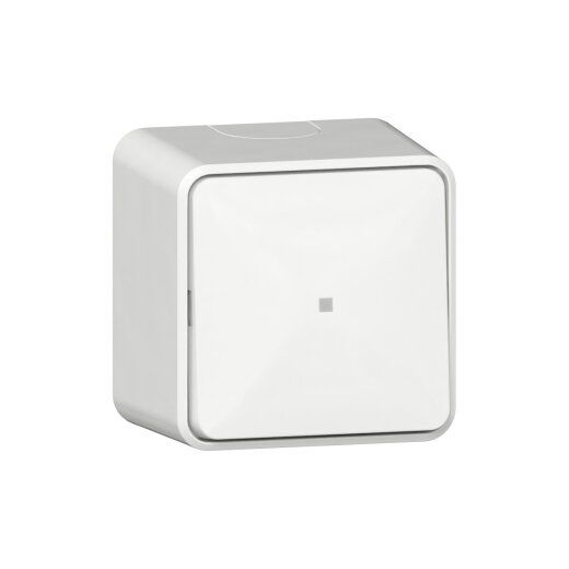 Gira Wippschalter 311613 Kontroll AusWe AP rws