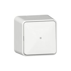 Gira Wippschalter 311613 Kontroll AusWe AP rws