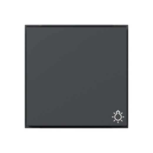 Gira Wippe 328567 Symb.Licht TX44 WG UP anthr