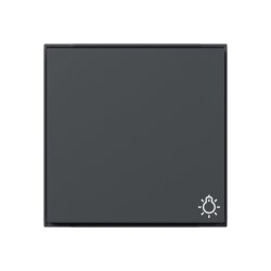 Gira Wippe 328567 Symb.Licht TX44 WG UP anthr