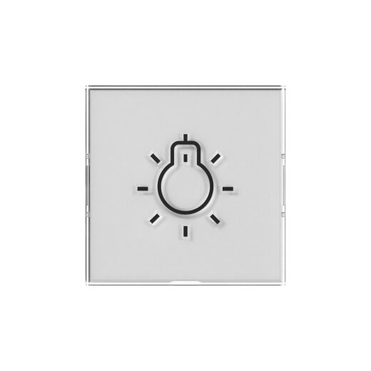 Gira Wippe BSF+Symb.Licht groß tastbar Sys.55 nt