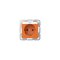 GIRA Steckdose SCHUKO 4462109 BSF + SH System 55 Orange