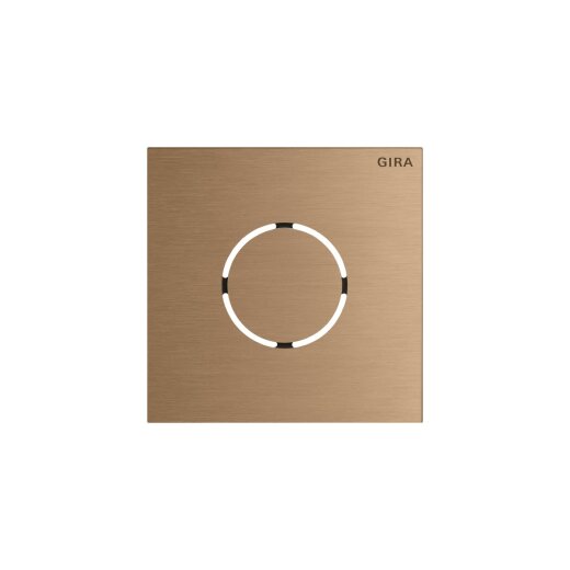 GIRA Frontplatte 5578921 Sprachmodul Sys106 br