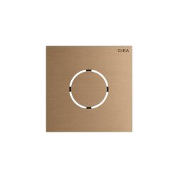 GIRA Frontplatte 5578921 Sprachmodul Sys106 br