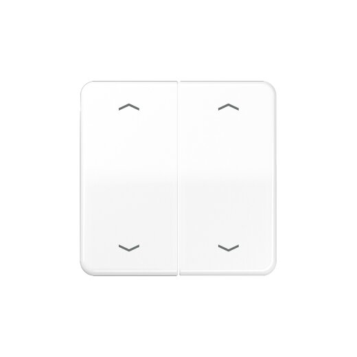 Jung Serienwippe CD595MPWW für Multi-Switch