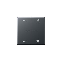 Jung Steuertaste FMA1701BFPANM eNet Funk