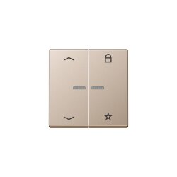 Jung Steuertaste FMA1701PCH eNet Funk